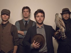 Image for Dante & the Hawks