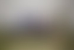 Miller 160925 wildskies 910 clean