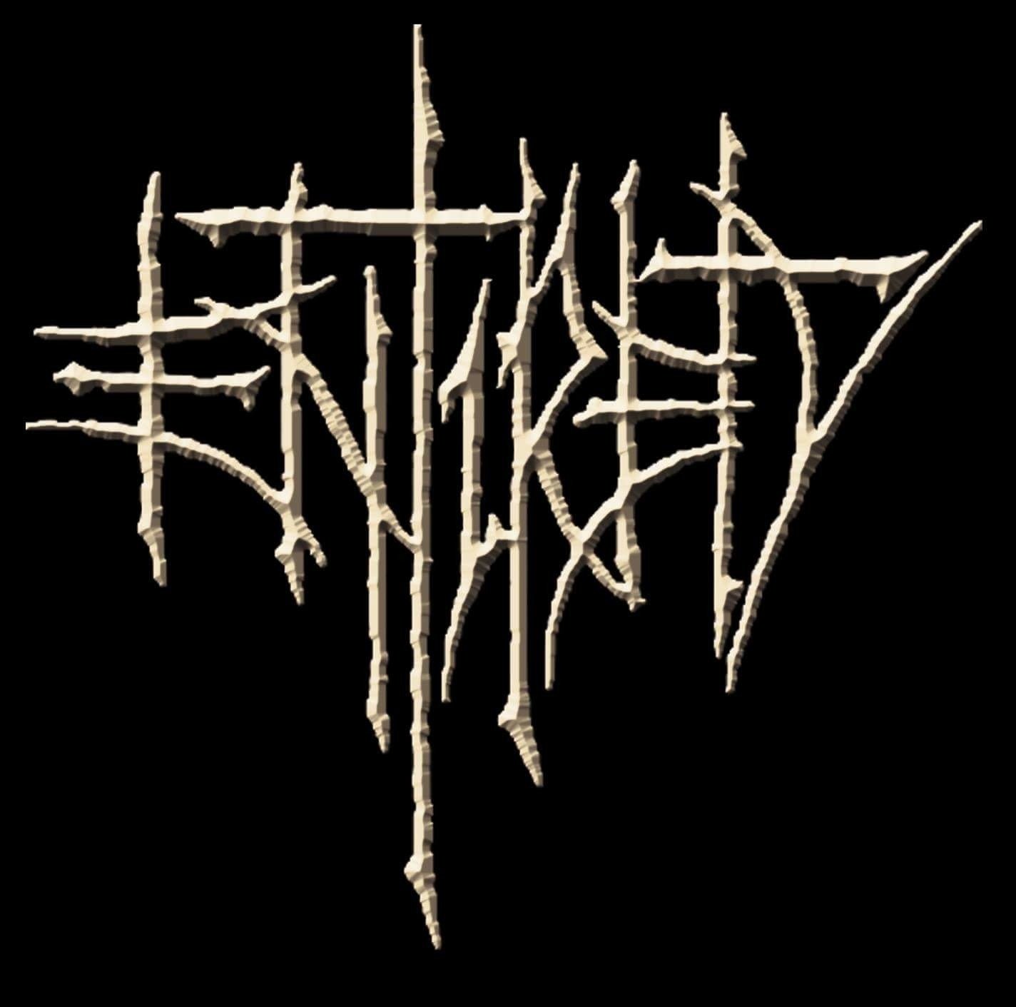 ReverbNation profile picture for @entirety