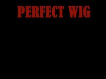 Perfect Wig