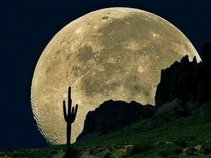 Cactus Moon