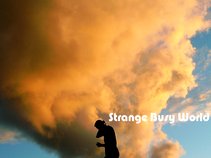 Strangebusyworld