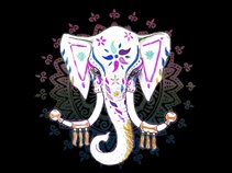 Elephant State