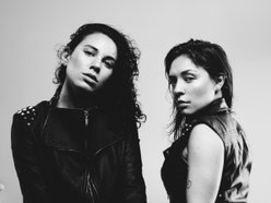 Image for The Pussywillows