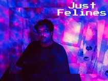 Just Felines