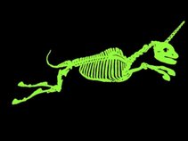 Zoo X-Ray
