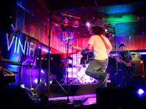 Vinifi
