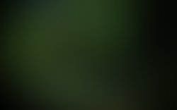 1406982255 mystical forest by conflictempire d4qoq38