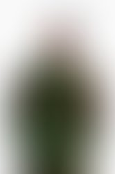 Img 6260