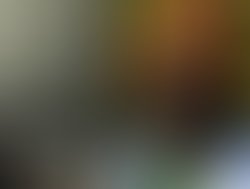 2796944865 763f2a44fe o 1241074492