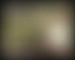 1425988619 trajan albumn collection