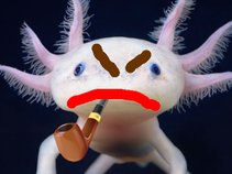 axolotls