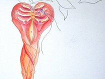 Stealing from Thieves