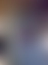 1303842689 040120081308