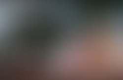 13934648 140317663078592 5252054594712919536 n