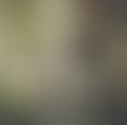 1409275628 img 46116899078796