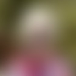 Russell blalack 2024 1200x1200