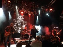 Riot Horse