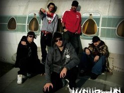 ReverbNation profile picture for @mushrooms