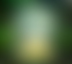 1422414694 333 exposure