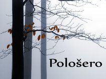 Pološero