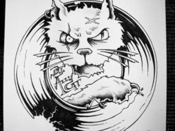 Image for AllyCaT aka Thundacat