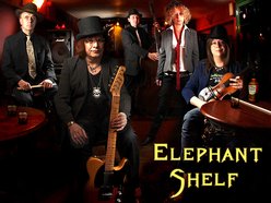 Image for Elephant Shelf