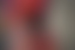 14671212 1804329243178314 477069429617596019 n
