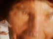 Vikram Puce