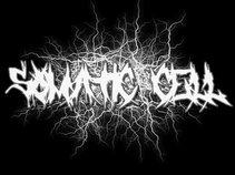 Somatic Cell