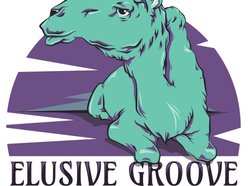 Elusive Groove
