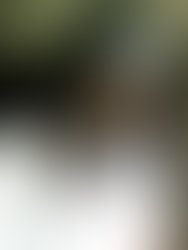 1439070628 artist 4375848 1439070604