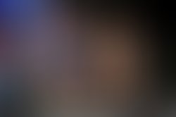 Budlight stage lantana trio