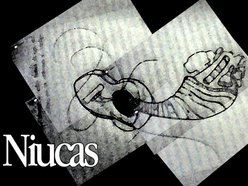 Image for Niucas