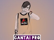 GANTAI PRO MAKER