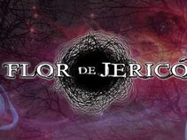 Flor de Jerico