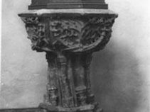 proRetroarticularrists