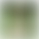 1454942007 10152243644229938 1636613183 n  1 