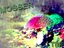 Mosser