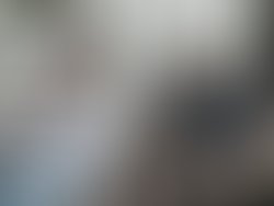 1410829446 img 16502118495605 2