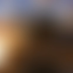 10157155 896243673772336 12704548915405180 n