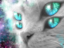 The CatLike