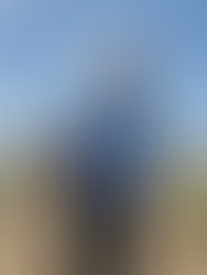 1356599865 jldesertfieldfjun92010 1276636130