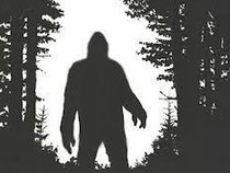 Sasquatch Punch