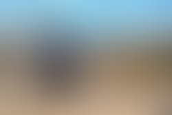 1420144230 img 7012 2