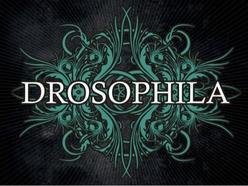 ReverbNation profile picture for @drosophila
