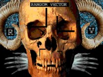 Random Vector