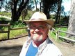 Steve Ross
