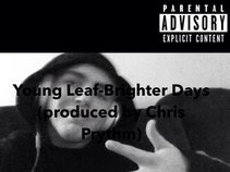 Young Leaf