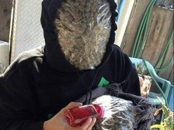 Medicine Man